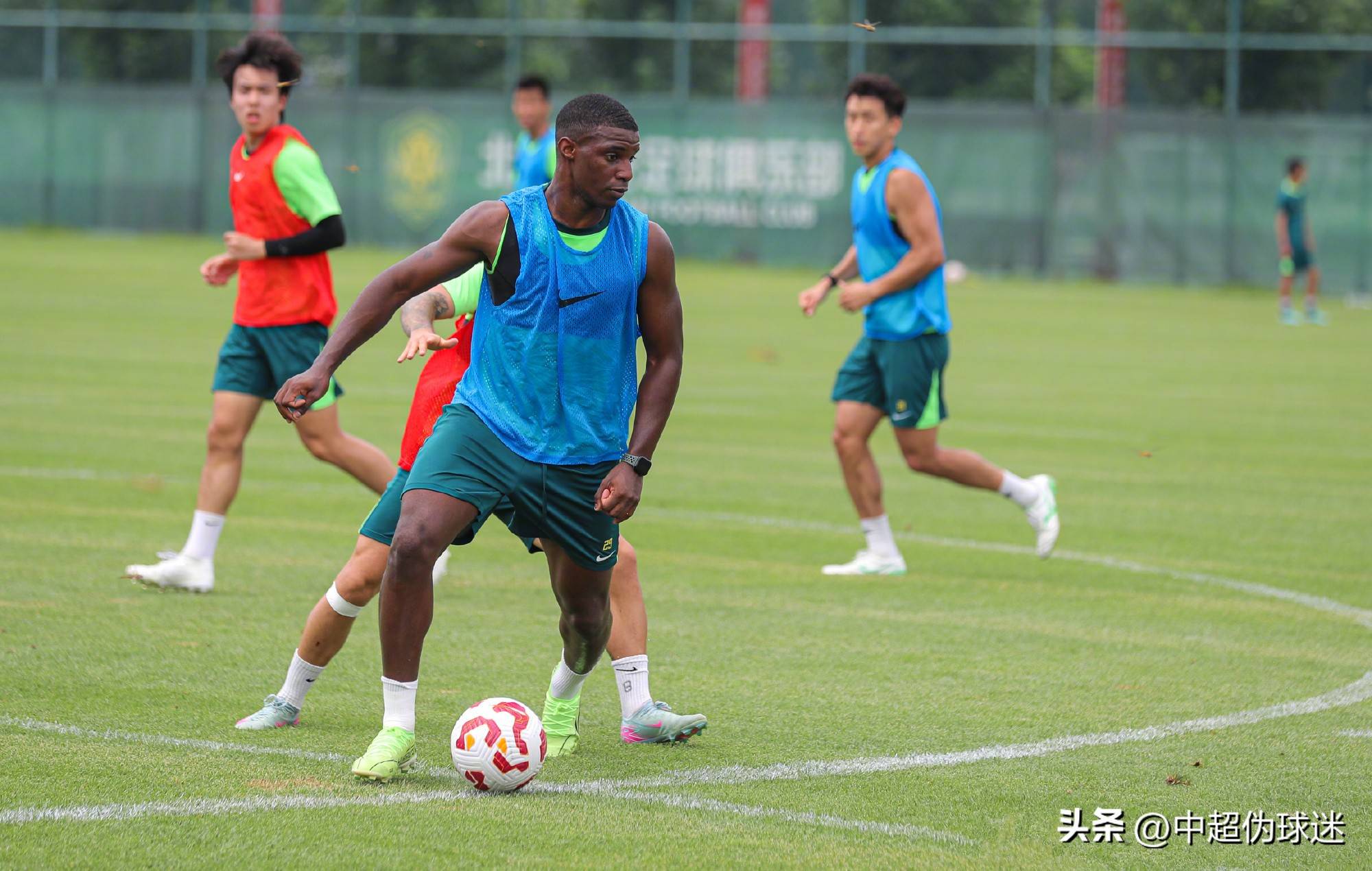 波切蒂诺的 波切蒂诺的