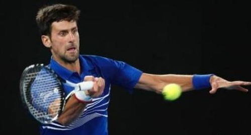 供了更好的 供了更好的